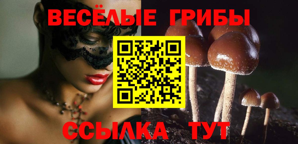 Салехард  Галлюциногенные грибы мухоморы  Вход с VPN 